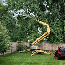 Best Lawn Drainage Solutions  in Eagle Point, AL