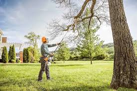 Best Palm Tree Trimming  in Eagle Point, AL