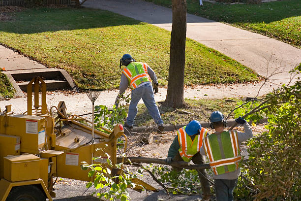 Best Lawn Watering Services  in Eagle Point, AL
