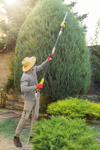 Best Aeration Services  in Eagle Point, AL